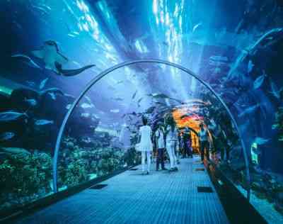 Dubai Underwater Aquarium