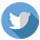 Twitter Icon
